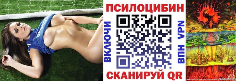 Псилоцибиновые грибы Psilocybe Свирск