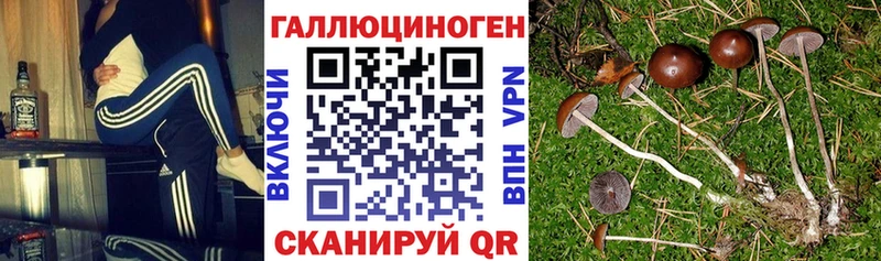 Галлюциногенные грибы MAGIC MUSHROOMS  Свирск 